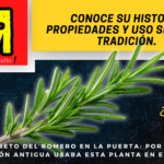 Gaceta (5)