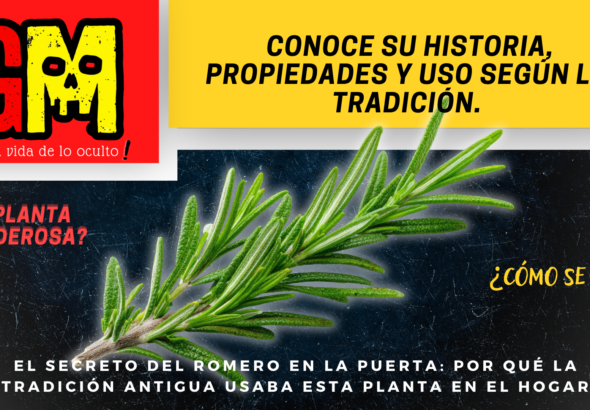 Gaceta (5)
