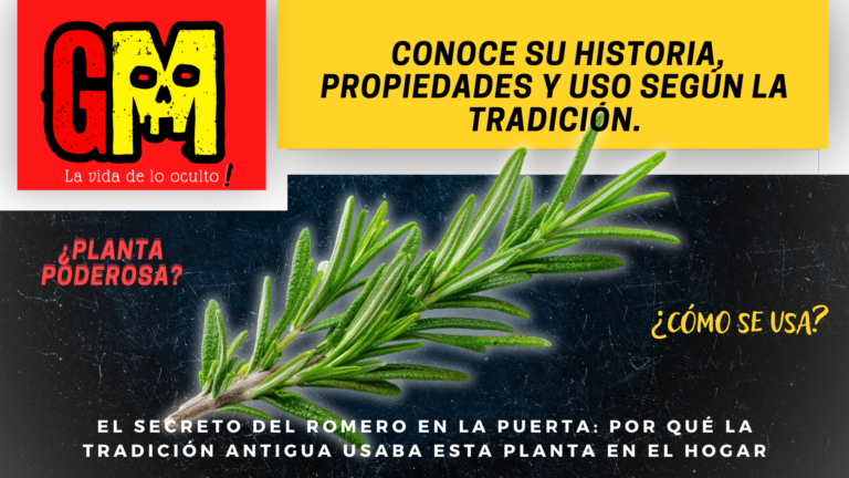 Gaceta (5)